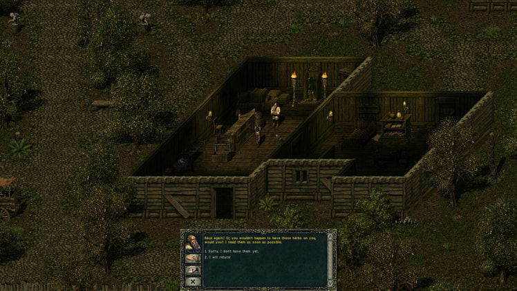 Divine Divinity screenshot 4