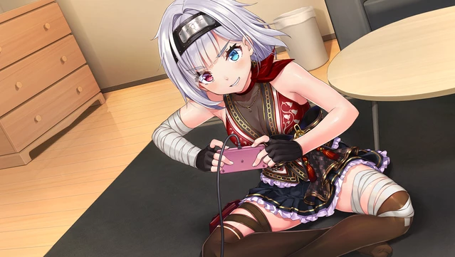 #9. NinNinDays 2 (GOG) 게시자: qureate, MediBang Inc.