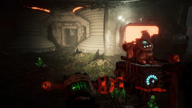 #9. ANIMAL USE PROTOCOL (GOG) От: The Brotherhood
