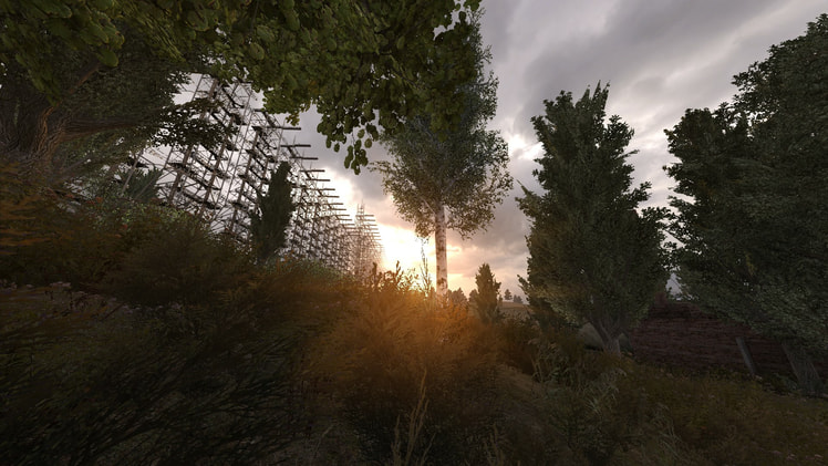 S.T.A.L.K.E.R. Anomaly — 9