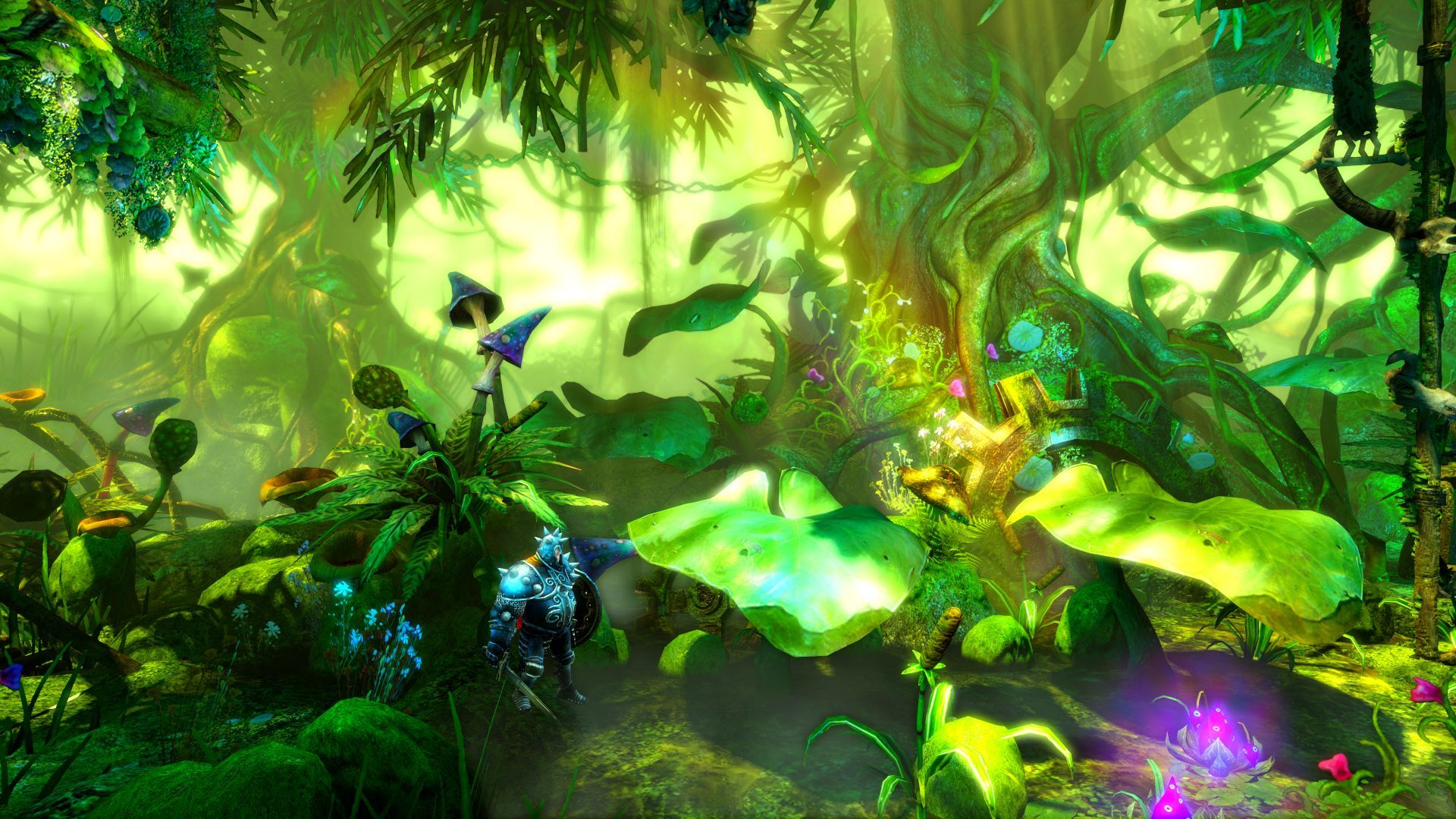 screenshot6